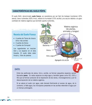 Bacterias
Arena
Aire y agua
Agregado de arcilla 25 µm
H2
O
Aire
Aire
Aire
Materia orgánica
(de plantas,
animales y hongos)
CARACTERÍSTICASDELSUELOFÉRTIL
El suelo fértil, denominado suelo franco, se caracteriza por ser fácil de trabajar (contienen 45%
arena), tiene nutrientes (40% limo), retiene la humedad (15% arcilla) y es oscuro debido a la gran
cantidad de materia orgánica que también aporta nutrientes.
Receta del Suelo Franco
• 4 partes de Tierra de chacra
(limo más arcilla)
• 4 partes de Arena
• 2 partes de Compost
Los ingredientes se mezclan
bien y se esparce en el área
trazada. El suelo debe estar
limpio y libre de piedras
DATO:
• Entre las partículas de arena, limo y arcilla, se forman pequeños espacios vacíos,
llamados poros. En estos espacios se aloja agua y también gases como O2, CO2 y
N2 que se forman producto de la respiración de las raíces, microorganismos y por la
descomposición de la materia orgánica.
• Si se satura el suelo con agua, este drenará fácilmente el exceso de agua, de lo
contrario, si falta agua, los microporos presentes en las arcillas retendrán el agua por
un tiempo prolongado.
14
EL BIOHUERTO EN MI ESCUELA. Guía para su implementación en zonas áridas
 
