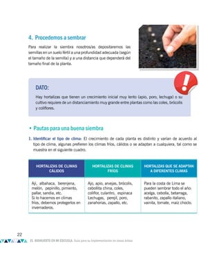 DATO:
Hay hortalizas que tienen un crecimiento inicial muy lento (apio, poro, lechuga) o su
cultivo requiere de un distanciamiento muy grande entre plantas como las coles, brócolis
y coliflores.
4. Procedemos a sembrar
Para realizar la siembra nosotros/as depositaremos las
semillas en un suelo fértil a una profundidad adecuada (según
el tamaño de la semilla) y a una distancia que dependerá del
tamaño final de la planta.
• Pautas para una buena siembra
1. Identificar el tipo de clima: El crecimiento de cada planta es distinto y varían de acuerdo al
tipo de clima, algunas prefieren los climas fríos, cálidos o se adaptan a cualquiera, tal como se
muestra en el siguiente cuadro.
HORTALIZAS DE CLIMAS
CÁLIDOS
HORTALIZAS DE CLIMAS
FRÍOS
HORTALIZAS QUE SE ADAPTAN
A DIFERENTES CLIMAS
Ají, albahaca, berenjena,
melón, pepinillo, pimiento,
pallar, sandia, etc.
Si lo hacemos en climas
fríos, debemos protegerlos en
invernaderos.
Ajo, apio, arvejas, brócolis,
cebollita china, coles,
coliflor, culantro, espinaca
Lechugas, perejil, poro,
zanahorias, zapallo, etc.
Para la costa de Lima se
pueden sembrar todo el año:
acelga, cebolla, betarraga,
rabanito, zapallo italiano,
vainita, tomate, maíz choclo.
22
EL BIOHUERTO EN MI ESCUELA. Guía para su implementación en zonas áridas
 