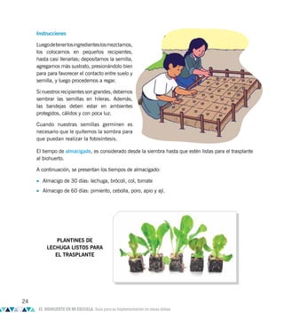 PLANTINES DE
LECHUGA LISTOS PARA
EL TRASPLANTE
Instrucciones
Luegodetenerlosingredienteslosmezclamos,
los colocamos en pequeños recipientes,
hasta casi llenarlas; depositamos la semilla,
agregamos más sustrato, presionándolo bien
para para favorecer el contacto entre suelo y
semilla, y luego procedemos a regar.
Si nuestros recipientes son grandes, debemos
sembrar las semillas en hileras. Además,
las bandejas deben estar en ambientes
protegidos, cálidos y con poca luz.
Cuando nuestras semillas germinen es
necesario que le quitemos la sombra para
que puedan realizar la fotosíntesis.
El tiempo de almacigado, es considerado desde la siembra hasta que estén listas para el trasplante
al biohuerto.
A continuación, se presentan los tiempos de almacigado:
• Almacigo de 30 días: lechuga, brócoli, col, tomate
• Almacigo de 60 días: pimiento, cebolla, poro, apio y ají.
24
EL BIOHUERTO EN MI ESCUELA. Guía para su implementación en zonas áridas
 
