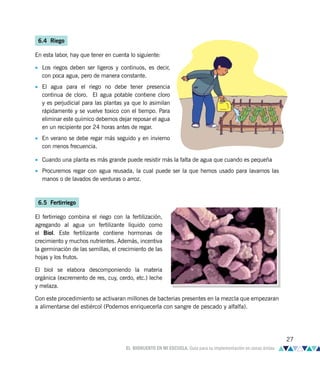 6.4 Riego
En esta labor, hay que tener en cuenta lo siguiente:
• Los riegos deben ser ligeros y continuos, es decir,
con poca agua, pero de manera constante.
• El agua para el riego no debe tener presencia
continua de cloro. El agua potable contiene cloro
y es perjudicial para las plantas ya que lo asimilan
rápidamente y se vuelve toxico con el tiempo. Para
eliminar este químico debemos dejar reposar el agua
en un recipiente por 24 horas antes de regar.
• En verano se debe regar más seguido y en invierno
con menos frecuencia.
• Cuando una planta es más grande puede resistir más la falta de agua que cuando es pequeña
• Procuremos regar con agua reusada, la cual puede ser la que hemos usado para lavarnos las
manos o de lavados de verduras o arroz.
6.5 Fertirriego
El fertirriego combina el riego con la fertilización,
agregando al agua un fertilizante líquido como
el Biol. Este fertilizante contiene hormonas de
crecimiento y muchos nutrientes. Además, incentiva
la germinación de las semillas, el crecimiento de las
hojas y los frutos.
El biol se elabora descomponiendo la materia
orgánica (excremento de res, cuy, cerdo, etc.) leche
y melaza.
Con este procedimiento se activaran millones de bacterias presentes en la mezcla que empezaran
a alimentarse del estiércol (Podemos enriquecerla con sangre de pescado y alfalfa).
27
EL BIOHUERTO EN MI ESCUELA. Guía para su implementación en zonas áridas
 
