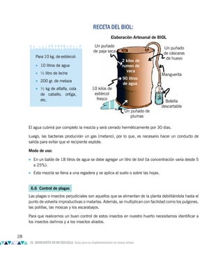 El agua cubrirá por completo la mezcla y será cerrado herméticamente por 30 días.
Luego, las bacterias producirán un gas (metano), por lo que, es necesario hacer un conducto de
salida para evitar que el recipiente explote.
Modo de uso:
• En un balde de 18 litros de agua se debe agregar un litro de biol (la concentración varía desde 5
a 25%).
• Esta mezcla se llena a una regadera y se aplica al suelo o sobre las hojas.
6.6 Control de plagas
Las plagas o insectos perjudiciales son aquellos que se alimentan de la planta debilitándola hasta el
punto de volverla improductivas o matarlas. Además, se multiplican con facilidad como los pulgones,
las polillas, las moscas y los escarabajos.
Para que realicemos un buen control de estos insectos en nuestro huerto necesitamos identificar a
los insectos dañinos y a los insectos aliados.
Un puñado
de paja seca
Elaboración Artesanal de BIOL
10 kilos de
estiércol
fresco
2 kilos de
rumen de
vaca
90 litros
de agua
Un puñado
de cáscaras
de huevo
Manguerita
Botella
descartable
Un puñado de
plumas
Para 10 kg. de estiércol:
• 10 litros de agua
• ½ litro de leche
• 200 gr. de melaza
• ½ kg de alfalfa, cola
de caballo, ortiga,
etc.
RECETA DEL BIOL:
28
EL BIOHUERTO EN MI ESCUELA. Guía para su implementación en zonas áridas
 