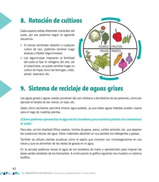 Cada especie extrae diferentes nutrientes del
suelo, por eso podemos seguir la siguiente
secuencia:
• Si hemos sembrado rabanito o cualquier
cultivo de raíz, podemos sembrar luego
alverjas o frijoles (leguminosas).
• Las leguminosas mejoraran la fertilidad
del suelo al fijar el nitrógeno del aire, así
al cosecharse, se puede sembrar luego un
cultivo de hojas como las lechugas, coles,
perejil, espinaca, etc.
9. Sistema de reciclaje de aguas grises
Las aguas grises o aguas usadas provienen del uso cotidiano y domésticos de las personas, como por
ejemplo el lavado de las manos, la ropa, etc.
Saber cómo reciclarlos permitirá ahorrar agua potable, ya que estas aguas tratadas pueden usarse
para el riego de nuestras plantas.
¿Cómo podemos aprovechar el agua de los lavaderos para nuestras plantas sin contaminar
el suelo?
Para esto, se han diseñado filtros caseros, hechos de grava, arena, carbón activado, etc. que separan
las sustancias toxicas del agua. Estos materiales absorben en sus paredes los detergentes y grasas.
También se utilizan plantas acuáticas como el papiro que conviven con microorganismos en sus
raíces y que se alimentan de los restos de grasas en el agua.
En la escuela podemos reusar el agua de los lavaderos de mano y aprovecharlo para mejorar las
áreas verdes alrededor de los biohuertos. A continuación el gráfico siguiente nos muestra un sistema
biofiltro.
FLORES
HOJAS
FRUTOS
RAICES
8. Rotación de cultivos
40
EL BIOHUERTO EN MI ESCUELA. Guía para su implementación en zonas áridas
 