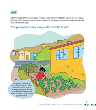 AIRE
Esta fuerza está conformada por gases necesarios para el crecimiento de las plantas como el oxígeno,
nitrógeno y CO2, por eso nuestro biohuerto debe tener una leve corriente de aire para que haya flujo
constante de estos gases.
Pero, ¿qué podemos hacer si hay grandes corrientes de aire?
Las grandes corrientes de
aire transportan arena, polvo,
semillas voladoras, esporas
de hongos y bacterias, así que
es conveniente poner barreras
verdes (arbustos, cercos, etc.) en
lugares extensos.
9
EL BIOHUERTO EN MI ESCUELA. Guía para su implementación en zonas áridas
 