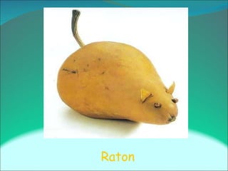 Raton 