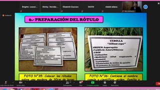 BIOHUERTOS.pdf