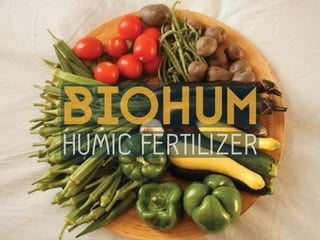 HUMIC FERTILIZER
BioHum
 