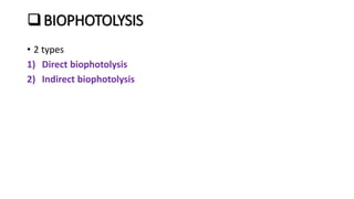 BIOPHOTOLYSIS
• 2 types
1) Direct biophotolysis
2) Indirect biophotolysis
 