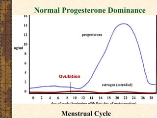 Normal Progesterone Dominance Ovulation Menstrual Cycle 