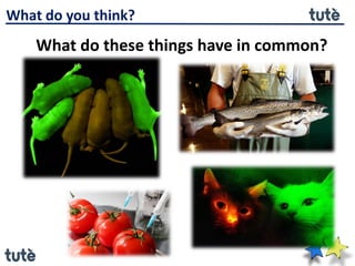 What do you think?
What do these things have in common?
 