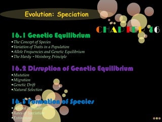 Evolution: Speciation CHAPTER 16 16.1 Genetic Equilibrium ,[object Object]