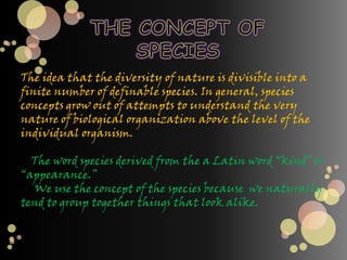 GUILLANO, JOSHUA P.KADUSALE, CRISELDABABOR, AFRILOUARQUISAL, CHONACADAYONA, SHENELYNREPORTERS