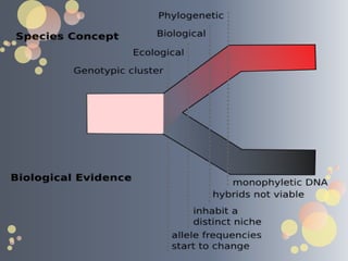 Please watch and wait for the video..