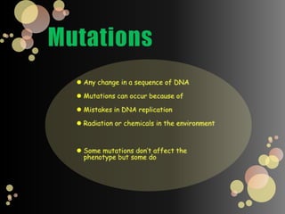 The allele for a widow’s peak is dominant over the allele for a hairline with no peak.However, the presence of a widow’s peak may be less common in a population.In real populations, phenotypic ratios are determined by the frequency of alleles as well as by whether the alleles are dominant or recessive.