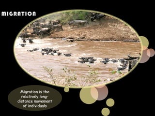 Evolution as Genetic ChangeRemember that evolution is any change over time in the relative frequency of alleles in a population. This reminds us that it is populations, not individual organisms that can evolve overtime