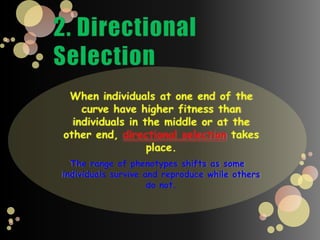 Natural SelectionDuring the…Rainy season – enough food for everyone, no competitionDry season – some foods become scarceAt that time, differences in beak sizes can mean the difference between life and deathBirds become feeding specialists