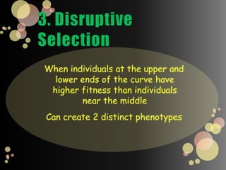 Natural SelectionThe Grants discovered that individual birds with different size beaks had different chances of survival during a drought