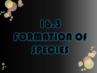 1. Stabilizing SelectionWhen individuals near the center of the curve have higher fitness than individuals at either end of the curve