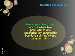 3. Disruptive SelectionWhen individuals at the upper and lower ends of the curve have higher fitness than individuals near the middleCan create 2 distinct phenotypes
