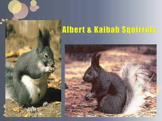 Isolated Populations   A group of individuals of the same species that interbreed   Because members of a population interbreed, they share a common group of genes called a gene pool