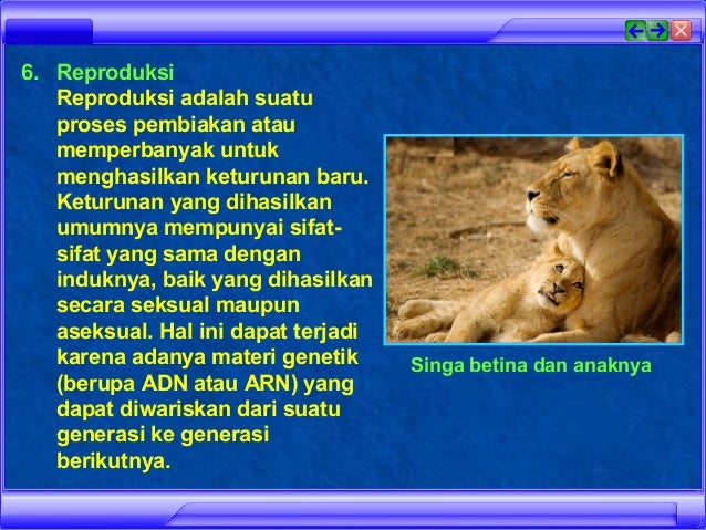 Biologi sebagai Ilmu Biologi sebagai Ilmu