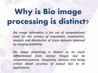 Bio image informatics | PPTX