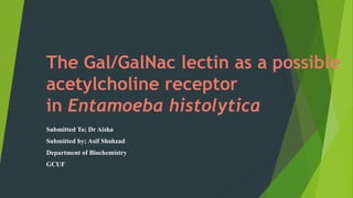 The Gal/GalNac lectin as a possible
acetylcholine receptor
in Entamoeba histolytica
Submitted To; Dr Aisha
Submitted by; Asif Shahzad
Department of Biochemistry
GCUF
 