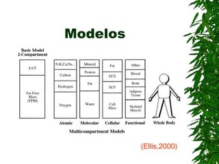 Modelos (Ellis,2000) 
