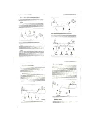 Bioindicación de la calidad del agua en colombia roldan 2003 | PDF