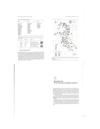 Bioindicación de la calidad del agua en colombia roldan 2003 | PDF