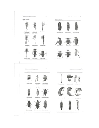 Bioindicación de la calidad del agua en colombia roldan 2003 | PDF