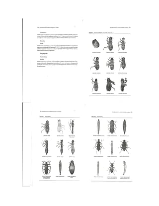Bioindicación de la calidad del agua en colombia roldan 2003 | PDF