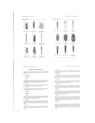 Bioindicación de la calidad del agua en colombia roldan 2003 | PDF