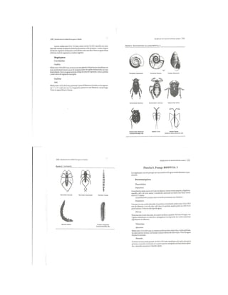 Bioindicación de la calidad del agua en colombia roldan 2003 | PDF
