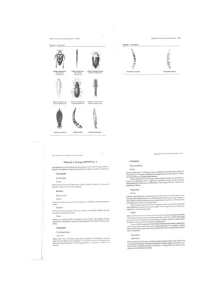 Bioindicación de la calidad del agua en colombia roldan 2003 | PDF