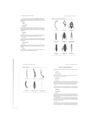 Bioindicación de la calidad del agua en colombia roldan 2003 | PDF
