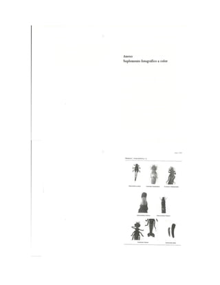 Bioindicación de la calidad del agua en colombia roldan 2003 | PDF