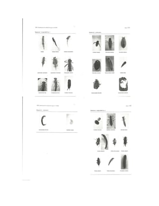 Bioindicación de la calidad del agua en colombia roldan 2003 | PDF