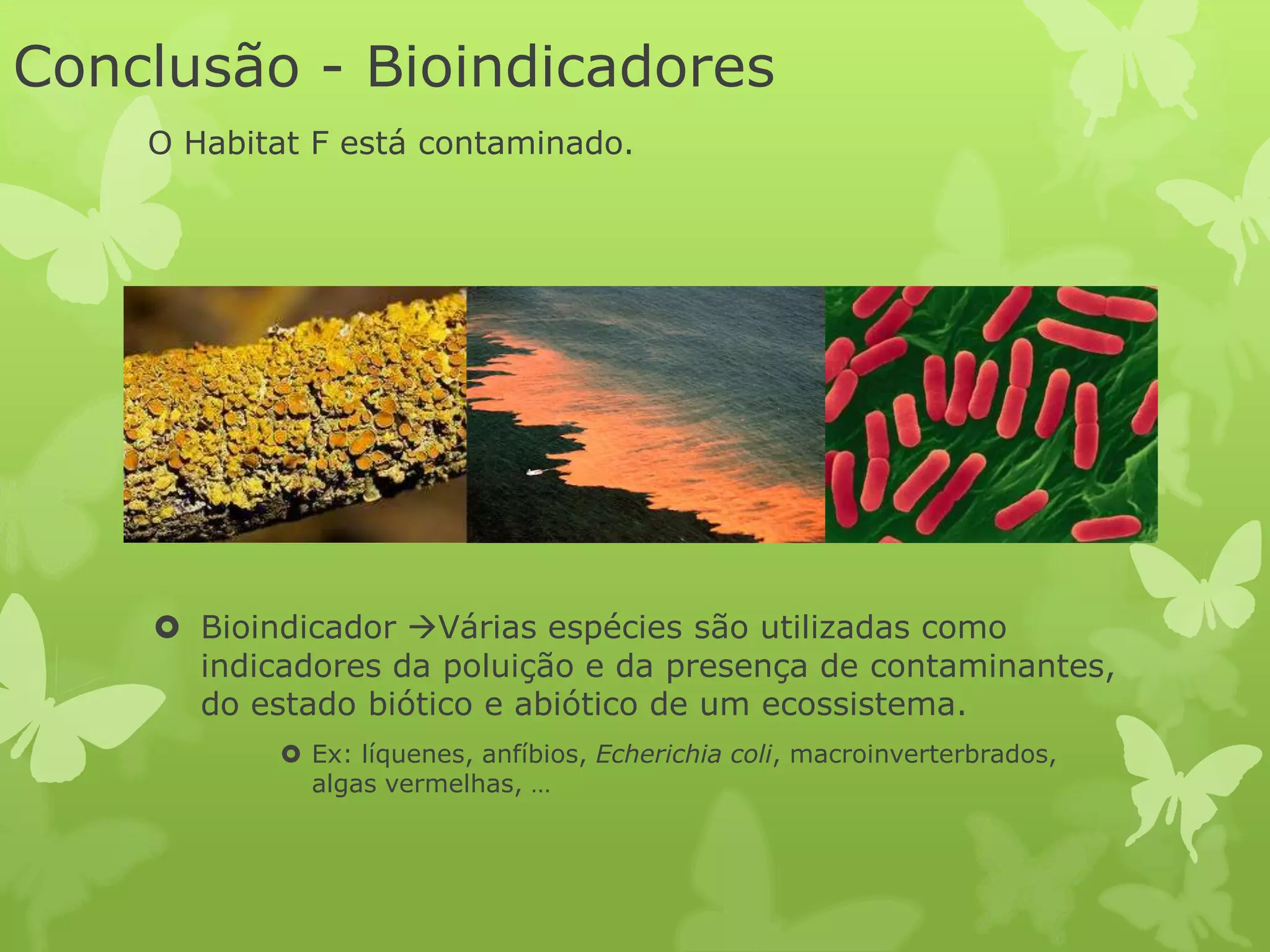 Conclusão - Bioindicadores
O Habitat F está contaminado.
Bioindicador Várias espécies são utilizadas como
indicadores da poluição e da presença de contaminantes,
do estado biótico e abiótico de um ecossistema.
Ex: líquenes, anfíbios, Echerichia coli, macroinverterbrados,
algas vermelhas, …