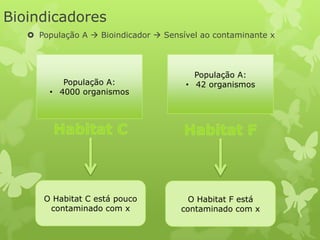 Bioindicadores
    População A  Bioindicador  Sensível ao contaminante x



                                         População A:
           População A:                • 42 organismos
        • 4000 organismos




      O Habitat C está pouco            O Habitat F está
       contaminado com x              contaminado com x
 