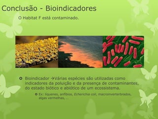 Conclusão - Bioindicadores
    O Habitat F está contaminado.




     Bioindicador Várias espécies são utilizadas como
      indicadores da poluição e da presença de contaminantes,
      do estado biótico e abiótico de um ecossistema.
            Ex: líquenes, anfíbios, Echerichia coli, macroinverterbrados,
             algas vermelhas, …
 