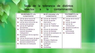Tabla de la tolerancia de distintos
insectos a la contaminación.
 