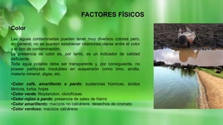 FACTORES FÍSICOS
Color
Las aguas contaminadas pueden tener muy diversos colores pero,
en general, no se pueden establecer relaciones claras entre el color
y el tipo de contaminación.
La presencia de color es, por tanto, es un indicador de calidad
deficiente.
Toda agua potable debe ser transparente y, por consiguiente, no
poseer partículas insolubles en suspensión como limo, arcilla,
materia mineral, algas, etc.
•Color café, amarillento o pardo: sustancias húmicas, ácidos
tánicos, turba, hojas
•Color verde: fitoplancton, clorofíceas
•Color rojizo o pardo; presencia de sales de hierro
•Color amarillento: macizos no calcáreos, desechos de cromato
•Color verdoso: macizos calcáreos
 