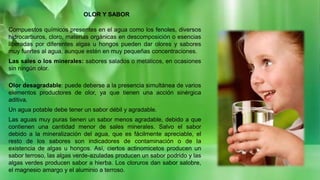 OLOR Y SABOR
Compuestos químicos presentes en el agua como los fenoles, diversos
hidrocarburos, cloro, materias orgánicas en descomposición o esencias
liberadas por diferentes algas u hongos pueden dar olores y sabores
muy fuertes al agua, aunque estén en muy pequeñas concentraciones.
Las sales o los minerales: sabores salados o metálicos, en ocasiones
sin ningún olor.
Olor desagradable: puede deberse a la presencia simultánea de varios
elementos productores de olor, ya que tienen una acción sinérgica
aditiva.
Un agua potable debe tener un sabor débil y agradable.
Las aguas muy puras tienen un sabor menos agradable, debido a que
contienen una cantidad menor de sales minerales. Salvo el sabor
debido a la mineralización del agua, que es fácilmente apreciable, el
resto de los sabores son indicadores de contaminación o de la
existencia de algas u hongos. Así, ciertos actinomicetos producen un
sabor terroso, las algas verde-azuladas producen un sabor podrido y las
algas verdes producen sabor a hierba. Los cloruros dan sabor salobre,
el magnesio amargo y el aluminio a terroso.
 