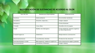 IDENTIFICACIÓN DE SUSTANCIAS DE ACUERDO AL OLOR
 
