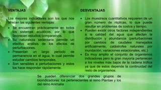 VENTAJAS
Los mejores indicadores son los que nos
ofrecen las siguientes ventajas:
 Se encuentran prácticamente en todos
los sistemas acuáticos, por lo que
favorecen estudios comparativos.
 Su naturaleza sedentaria permite un
efectivo análisis de los efectos de
perturbaciones.
 Presentan un largo periodo de
permanencia en el agua, lo cual permite
estudiar cambios temporales.
 Son sensibles a perturbaciones y estos
los hace responder rápidamente.
DESVENTAJAS
 Los muestreos cuantitativos requieren de un
gran número de réplicas, lo que puede
resultar en problemas de costos y tiempo.
 Pueden existir otros factores independientes
a la calidad del agua que afectan la
distribución y abundancia (perturbaciones
por cambios de caudales manejados
artificialmente, catástrofes naturales por
inundación, variaciones estacionales, etc.)
 Es muy amplio el conjunto de organismos
indicadores pero la gran mayoría pertenecen
a los niveles más bajos de la cadena trófica
ya que de estos depende la continuidad del
resto de organismos.
Se pueden diferenciar dos grandes grupos de
bioindicadores: los pertenecientes al reino Plantae y los
del reino Animalia
 