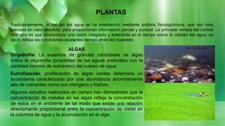PLANTAS
Tradicionalmente, la calidad del agua se ha establecido mediante análisis fisicoquímicos, que son más
precisos en valor absoluto, pero proporcionan información parcial y puntual. La principal ventaja del control
biológico es que proporciona una visión integrada y extendida en el tiempo sobre la calidad del agua, es
decir, refleja las condiciones existentes tiempo atrás del muestreo.
ALGAS
Oligotrofia: La ausencia de grandes cantidades de algas
indica la oligotrofia (propiedad de las aguas profundas con la
cantidad mínima de nutrientes) del cuerpo de agua.
Eutrofización: proliferación de algas verdes determina un
ecosistema caracterizado por una abundancia anormalmente
alta de nutrientes como son nitrógeno y fósforo.
Algunos estudios realizados en campo han demostrado que la
concentración de metales en las algas refleja la concentración
de estos en el ambiente de tal modo que existe una relación
directamente proporcional entre la concentración de metal en
la columna de agua y la acumulación en el alga.
 