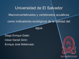 Universidad de El Salvador
Macroinvertebrados y vertebrados acuáticos
como indicadores ecológicos de la calidad del
agua
Diego Enrique Galán
César Daniel Girón
Enrique José Maldonado

 