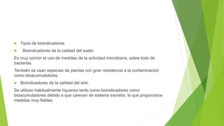  Tipos de bioindicadores
 Bioindicadores de la calidad del suelo:
Es muy común el uso de medidas de la actividad microbiana, sobre todo de
bacterias.
También se usan especies de plantas con gran resistencia a la contaminación
como bioacumuladores.
 Bioindicadores de la calidad del aire:
Se utilizan habitualmente líquenes tanto como bioindicadores como
bioacumuladores debido a que carecen de sistema excretor, lo que proporciona
medidas muy fiables.
 