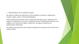  Bioindicadores de la calidad de aguas:
Se utilizan multitud de organismos como bacterias, protozoos, fitoplancton,
musgos, algas, peces y macroinvertebrados.
Estos organismos permiten medir condiciones del agua como: Saturación de
oxigeno, condiciones de anoxia, condiciones de pH, estratificación térmica y de
oxigeno en la columna de agua, turbulencia del agua y presencia de
determinados elementos.
Se utilizan generalmente como bioacumuladores los peces por ser el final de la
cadena trófica.
 
