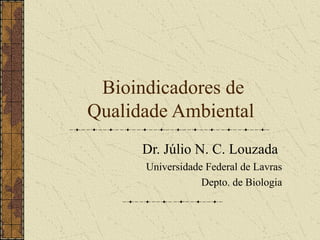 Bioindicadores de
Qualidade Ambiental
      Dr. Júlio N. C. Louzada
      Universidade Federal de Lavras
                  Depto. de Biologia
 